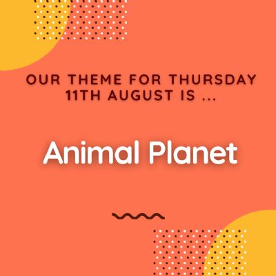 Thursday 11th August